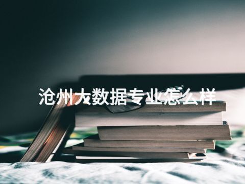 沧州大数据专业怎么样