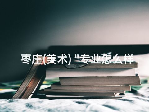 枣庄(美术) "专业怎么样