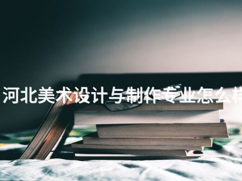 河北美术设计与制作专业怎么样(图1)