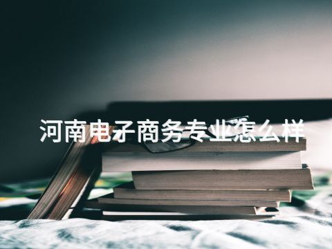 河南电子商务专业怎么样(图1) 河南电子商务专业怎么样(图1)