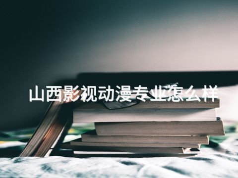 山西影视动漫专业怎么样