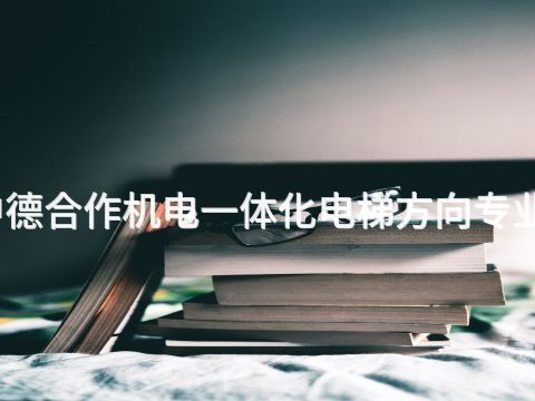 潍坊中德合作机电一体化电梯方向专业怎么样
