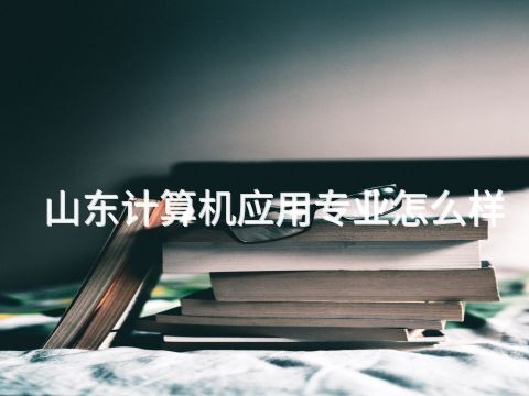 山东计算机应用专业怎么样(图1) 山东计算机应用专业怎么样(图1)