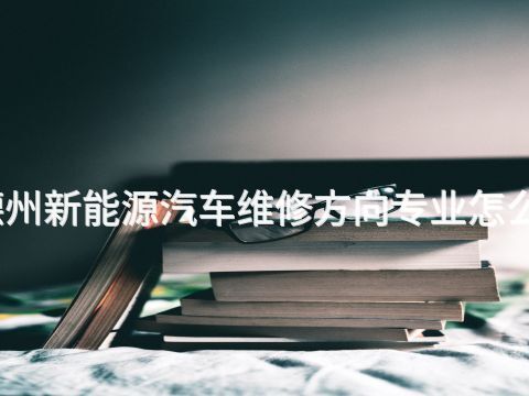 德州新能源汽车维修方向专业怎么样