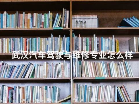 武汉汽车驾驶与维修专业怎么样(图1) 武汉汽车驾驶与维修专业怎么样(图1)