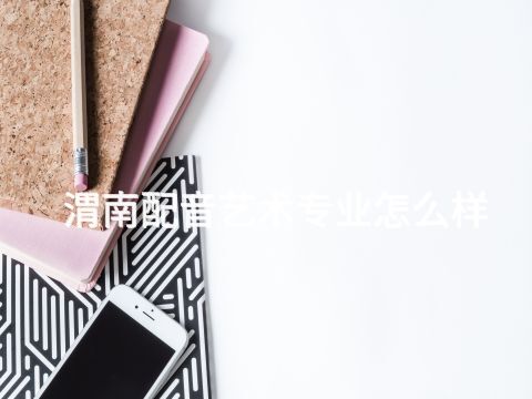 渭南配音艺术专业怎么样