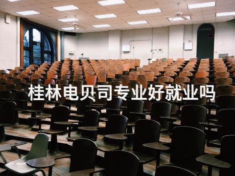 桂林电贝司专业好就业吗