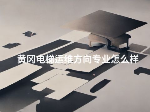 黄冈电梯运维方向专业怎么样