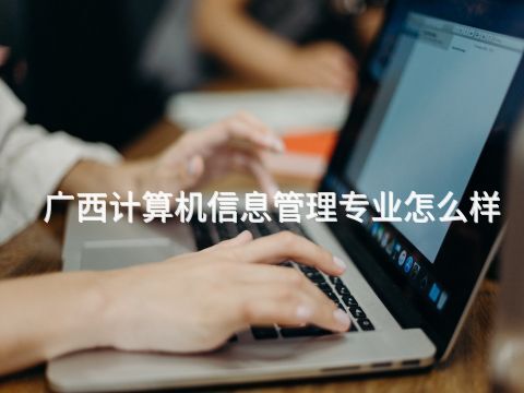 广西计算机信息管理专业怎么样(图1)