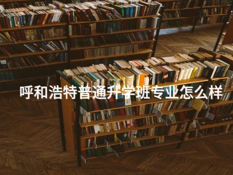 呼和浩特普通升學班專業(yè)怎么樣