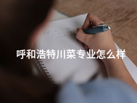 呼和浩特川菜專業怎么樣