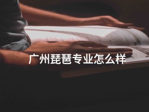 广州琵琶专业怎么样