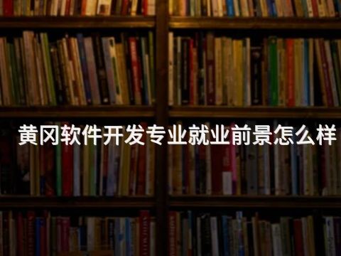 黄冈软件开发专业就业前景怎么样