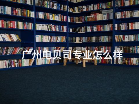 广州电贝司专业怎么样