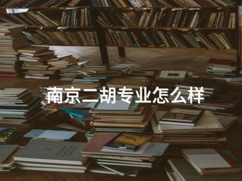 南京二胡專業(yè)怎么樣