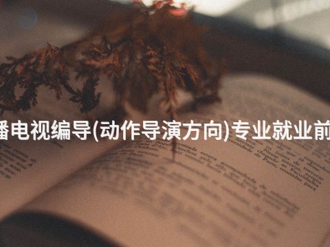 太原广播电视编导(动作导演方向)专业就业前景怎么样(图1) 太原广播电视编导(动作导演方向)专业就业前景怎么样(图1)