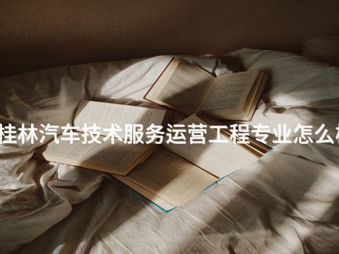 桂林汽车技术服务运营工程专业怎么样(图1) 桂林汽车技术服务运营工程专业怎么样(图1)
