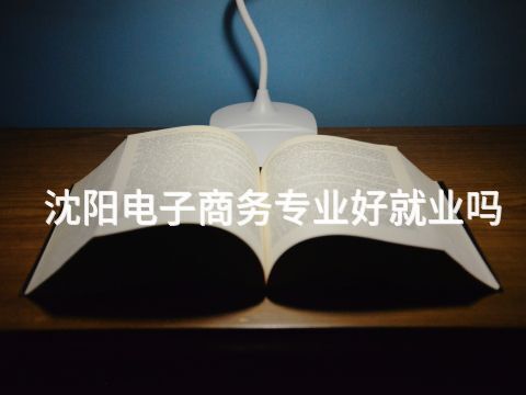 沈阳电子商务专业好就业吗(图1) 沈阳电子商务专业好就业吗(图1)