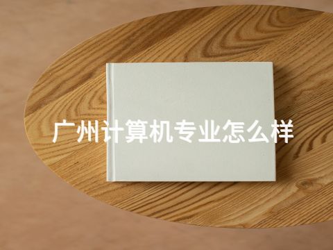 广州计算机专业怎么样