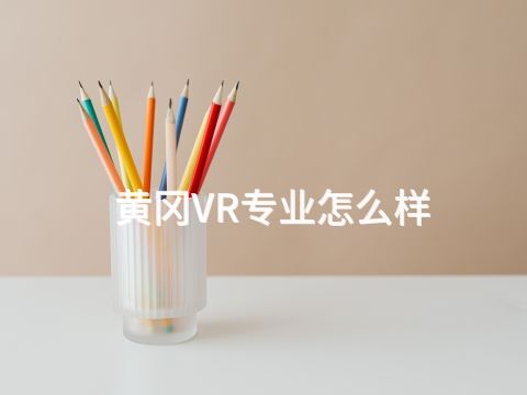 黄冈VR专业怎么样