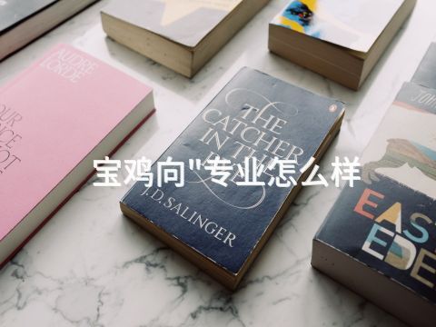 宝鸡向"专业怎么样