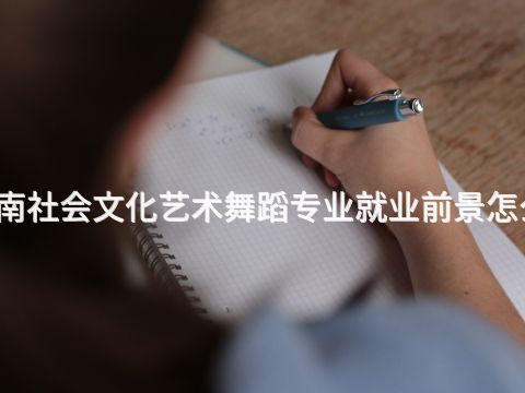 渭南社会文化艺术舞蹈专业就业前景怎么样