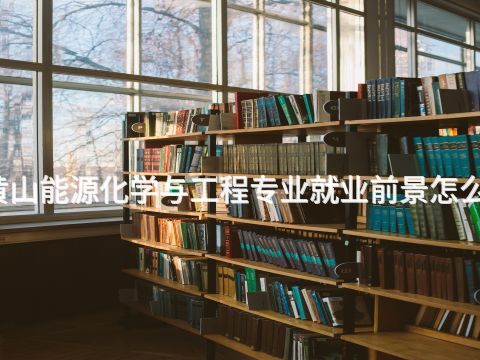 黃山能源化學(xué)與工程專業(yè)就業(yè)前景怎么樣