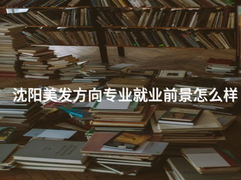 沈阳美发方向专业就业前景怎么样