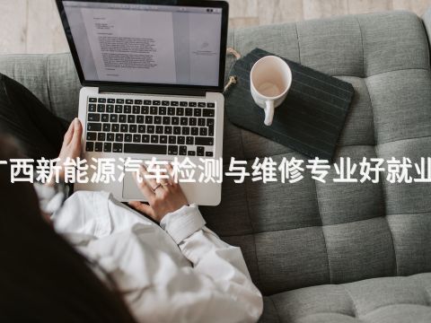 广西新能源汽车检测与维修专业好就业吗