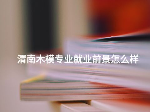 渭南木模专业就业前景怎么样