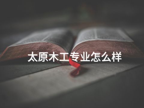 太原木工专业怎么样