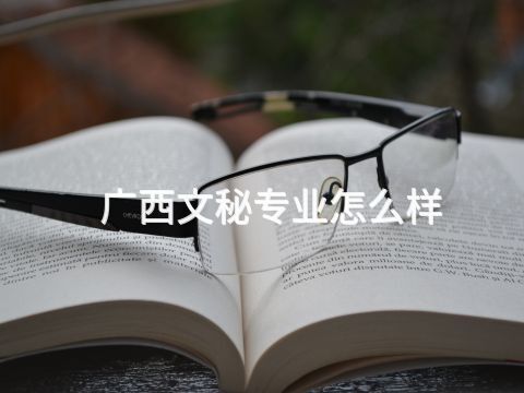 广西文秘专业怎么样