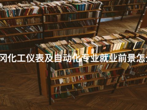 黃岡化工儀表及自動化專業就業前景怎么樣
