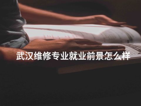 武汉维修专业就业前景怎么样(图1) 武汉维修专业就业前景怎么样(图1)
