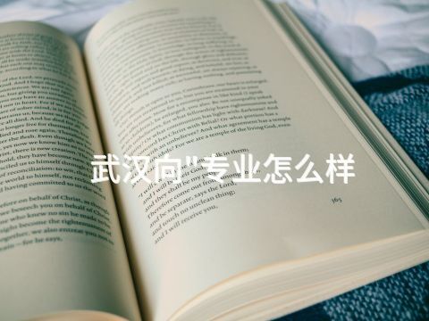 武汉向"专业怎么样