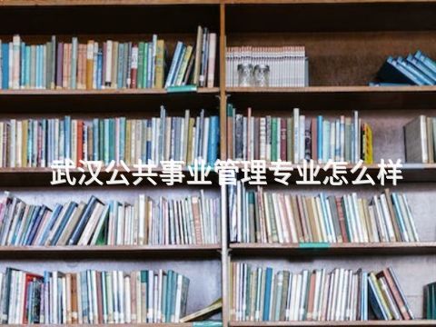 武漢公共事業(yè)管理專業(yè)怎么樣