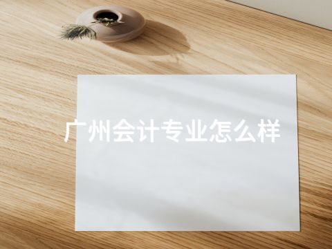 广州会计专业怎么样