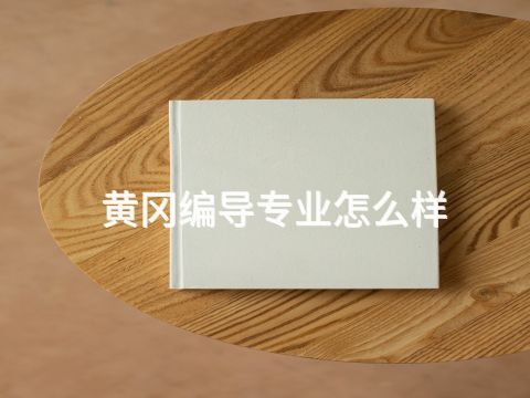 黄冈编导专业怎么样(图1) 黄冈编导专业怎么样(图1)