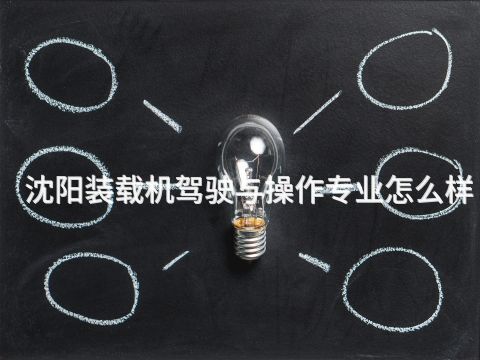 沈阳装载机驾驶与操作专业怎么样