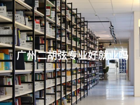 广州二胡弦专业好就业吗