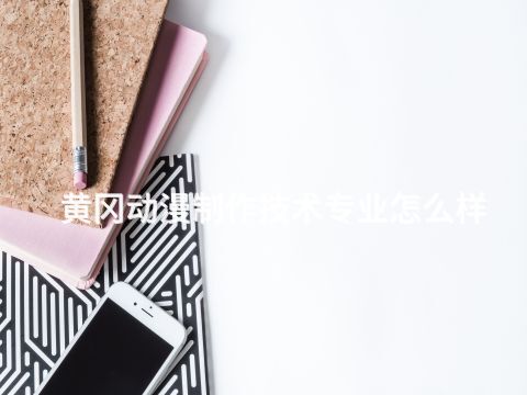 黄冈动漫制作技术专业怎么样