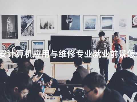 西安计算机应用与维修专业就业前景怎么样