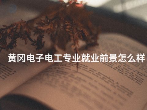 黄冈电子电工专业就业前景怎么样