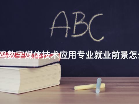 宝鸡数字媒体技术应用专业就业前景怎么样