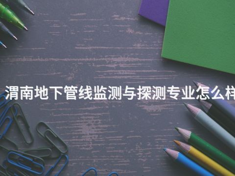渭南地下管线监测与探测专业怎么样