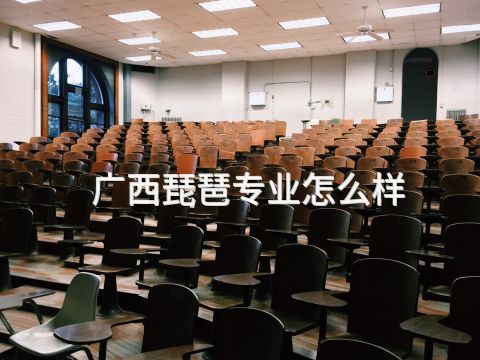广西琵琶专业怎么样