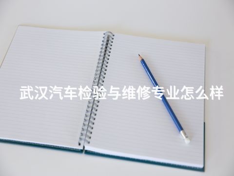 武汉汽车检验与维修专业怎么样