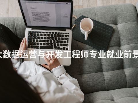 沈阳大数据运营与开发工程师专业就业前景怎么样
