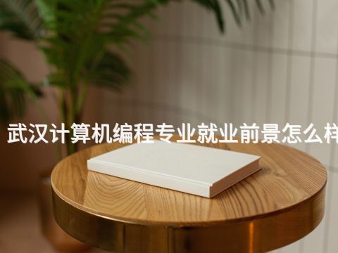 武汉计算机编程专业就业前景怎么样