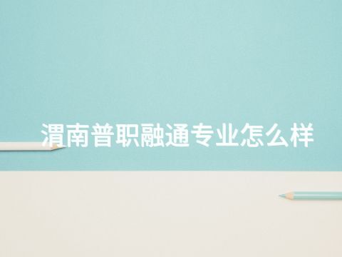 渭南普职融通专业怎么样